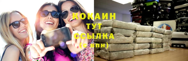 СК Каменногорск