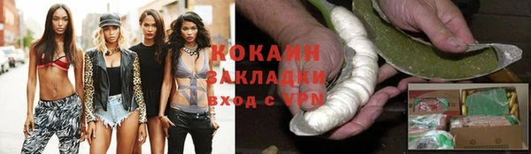 индика Кукмор