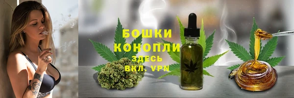 СК Каменногорск