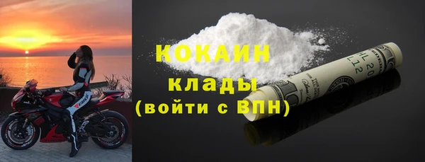 соль ск Каменка