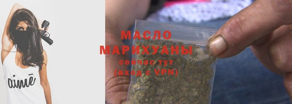 соль ск Каменка