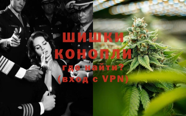 соль ск Каменка