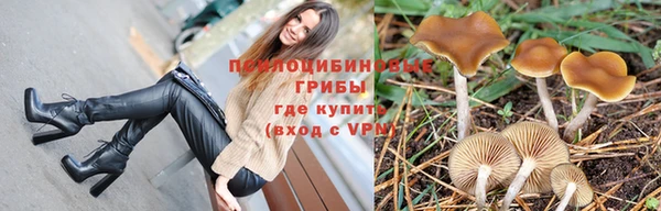ПСИЛОЦИБИНОВЫЕ ГРИБЫ Кулебаки