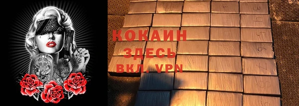 дмт Карпинск